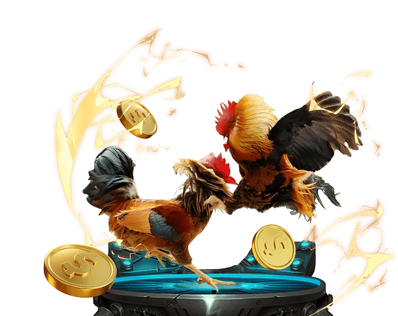 Giao diện hướng dẫn cách chơi đá gà trực tuyến